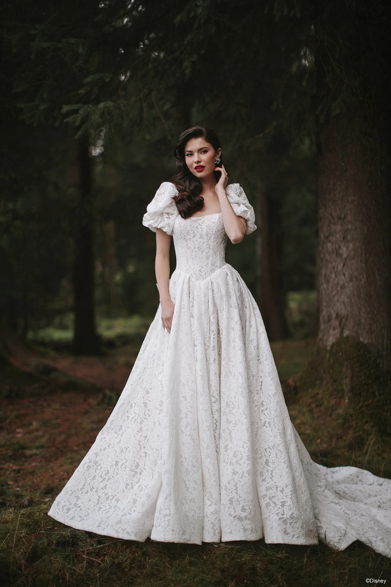 Detachable Wedding Dress Sleeves